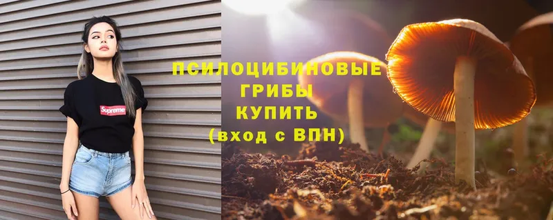 закладка  Нефтеюганск  Галлюциногенные грибы Magic Shrooms 